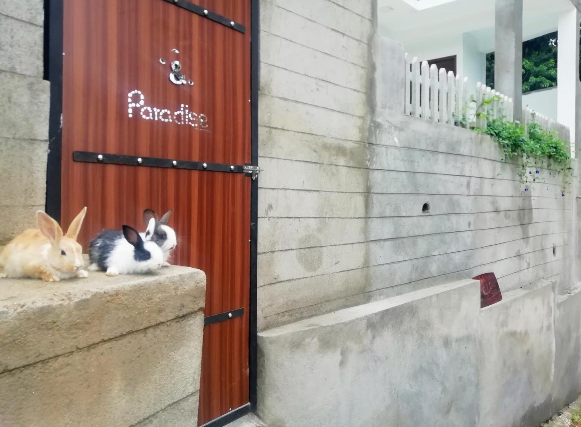 Ella C&D Paradise Hotel ภายนอก รูปภาพ