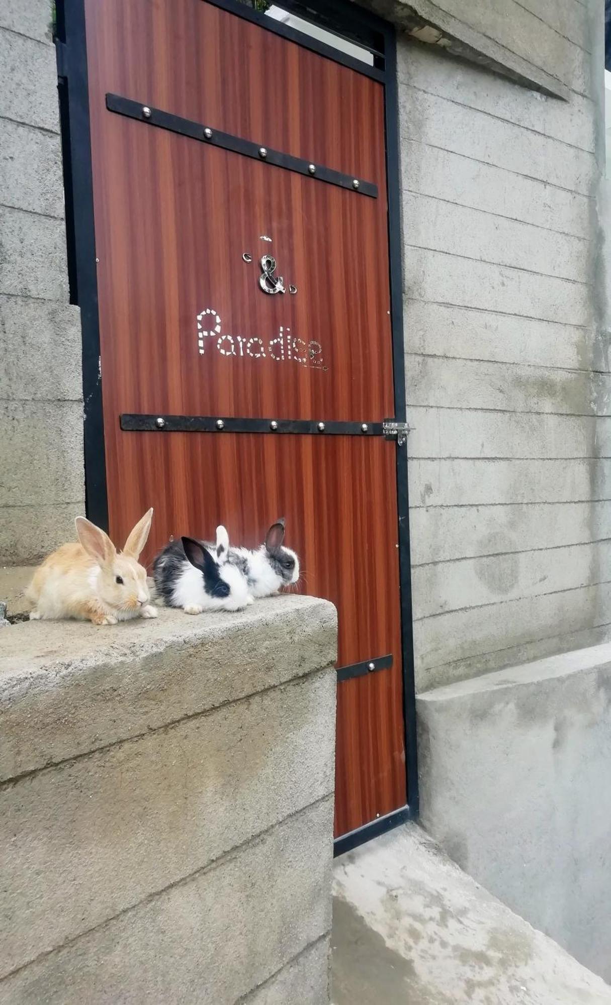 Ella C&D Paradise Hotel ภายนอก รูปภาพ