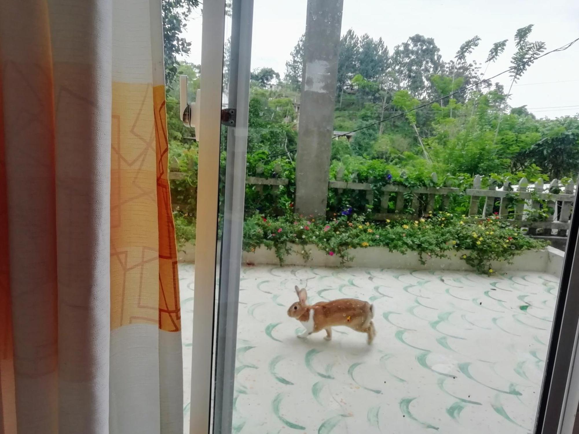 Ella C&D Paradise Hotel ภายนอก รูปภาพ