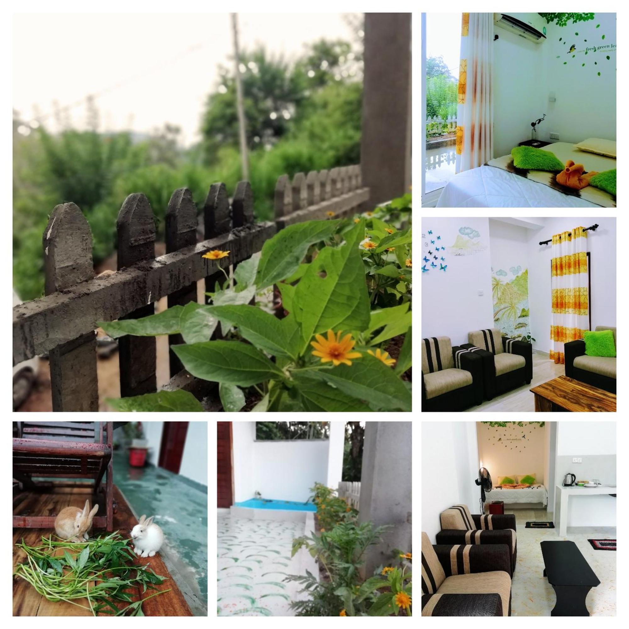 Ella C&D Paradise Hotel ห้อง รูปภาพ